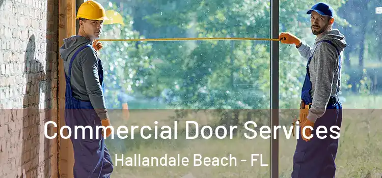 Commercial Door Services Hallandale Beach - FL