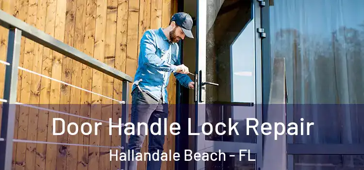 Door Handle Lock Repair Hallandale Beach - FL