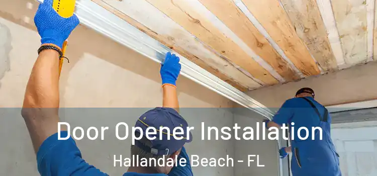  Door Opener Installation Hallandale Beach - FL