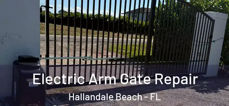 Electric Arm Gate Repair Hallandale Beach - FL