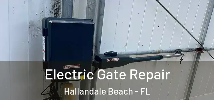 Electric Gate Repair Hallandale Beach - FL
