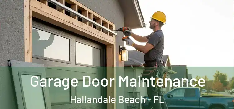 Garage Door Maintenance Hallandale Beach - FL