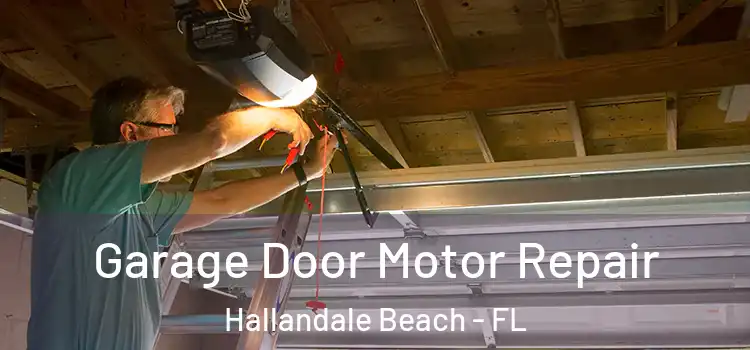 Garage Door Motor Repair Hallandale Beach - FL