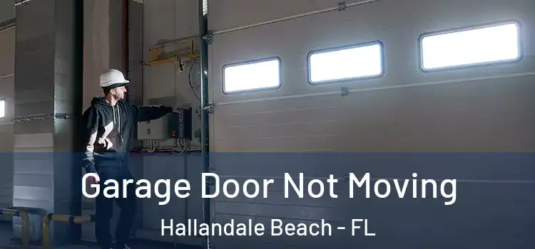  Garage Door Not Moving Hallandale Beach - FL