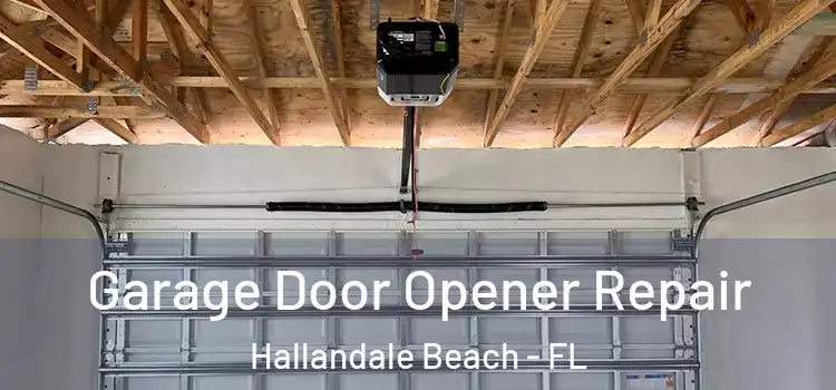  Garage Door Opener Repair Hallandale Beach - FL