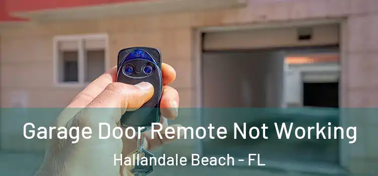  Garage Door Remote Not Working Hallandale Beach - FL