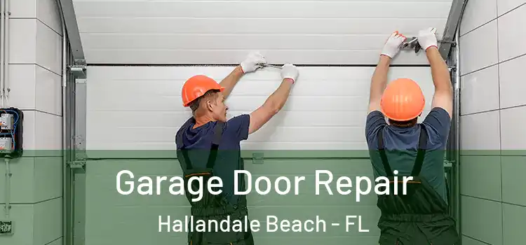  Garage Door Repair Hallandale Beach - FL
