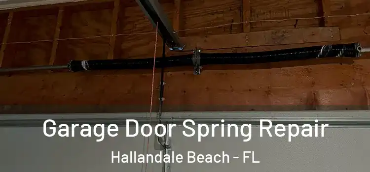  Garage Door Spring Repair Hallandale Beach - FL