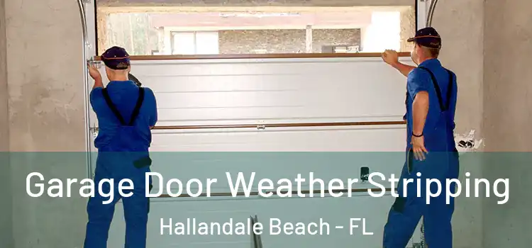  Garage Door Weather Stripping Hallandale Beach - FL