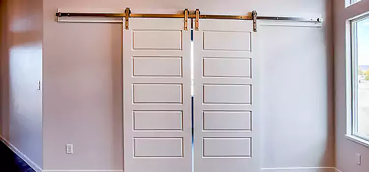 Glass Barn Door with Installation Hardware Kit Hallandale Beach