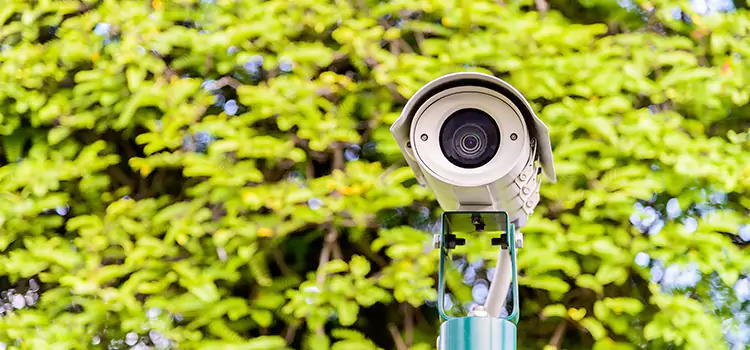 Advanced Surveillance Solutions for Every Need in Hallandale Beach