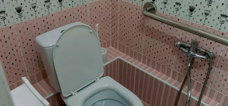 Meeting Diverse Needs With Accessible Restroom Solutions in Hallandale Beach, FL