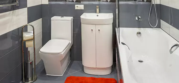 Hansgrohe Shaving Mirror Hallandale Beach