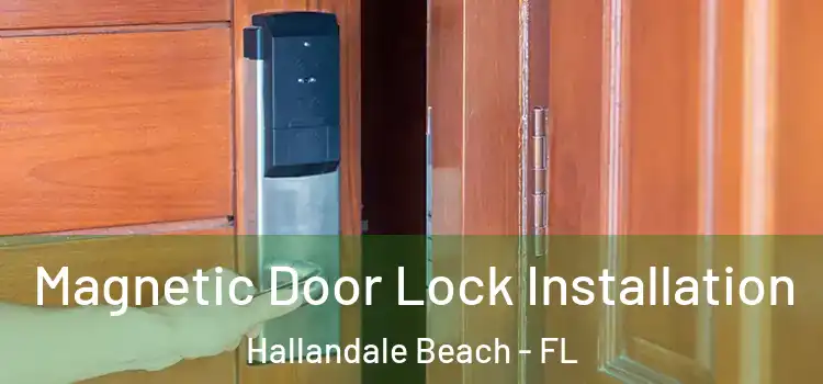  Magnetic Door Lock Installation Hallandale Beach - FL