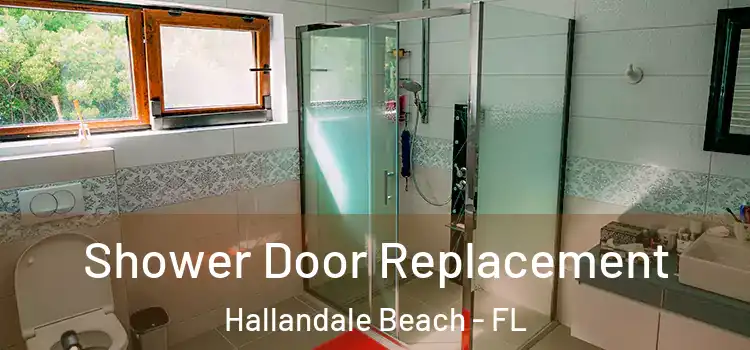 Shower Door Replacement Hallandale Beach - FL