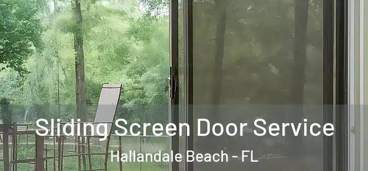 Sliding Screen Door Service Hallandale Beach - FL